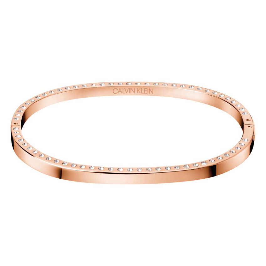 Calvin Klein Empathic Stainless Steel Bangle Bracelet - 1C1JJA | JTV.com